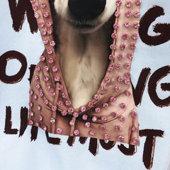B09 - Heavyweight Cotton Crewneck Sweatshirt with Hand-Nailed Pink Rhinestones & Printed Dog Hood Graphic