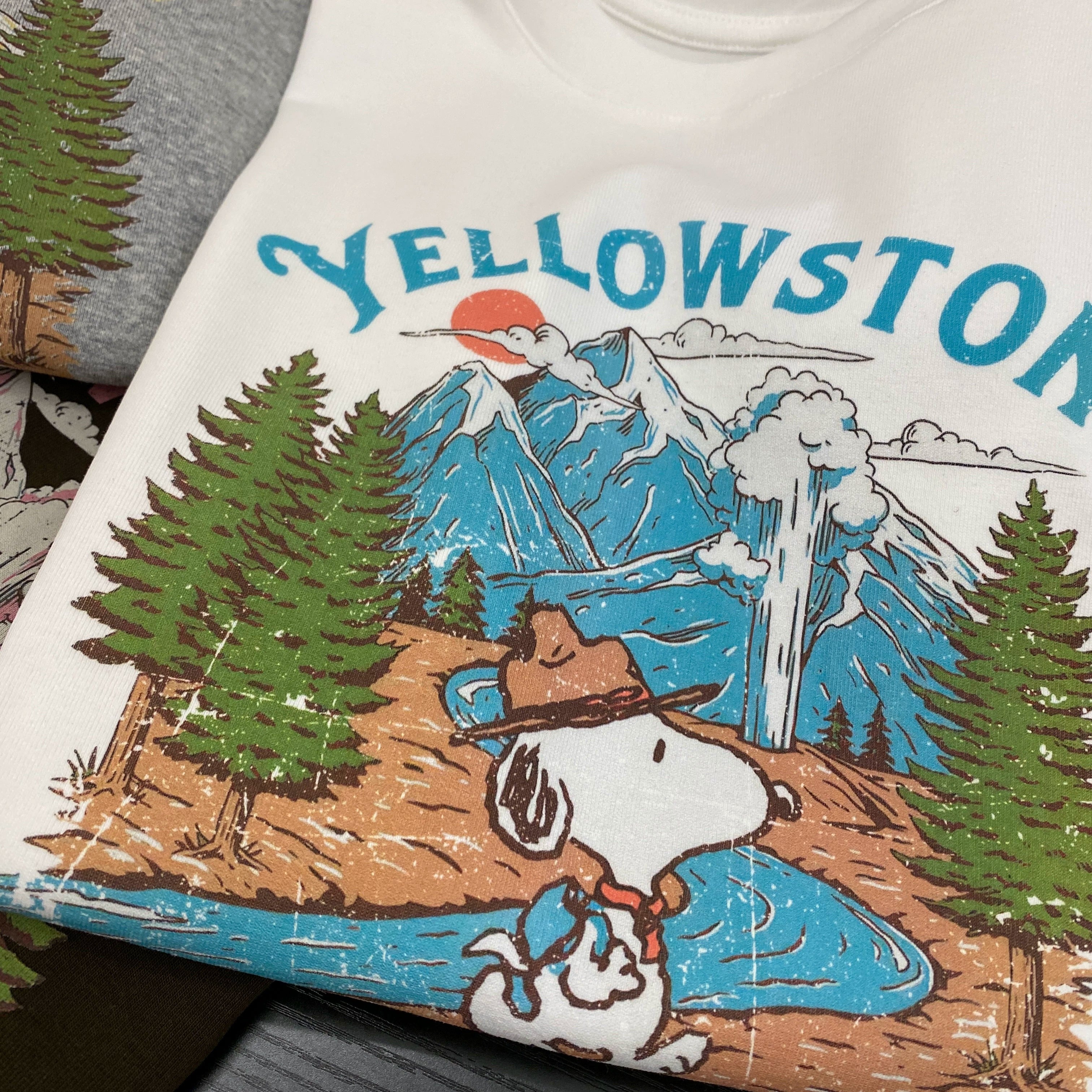 SNOOPY Graphic Cotton T-Shirt | Vintage National Park Oversized Tee