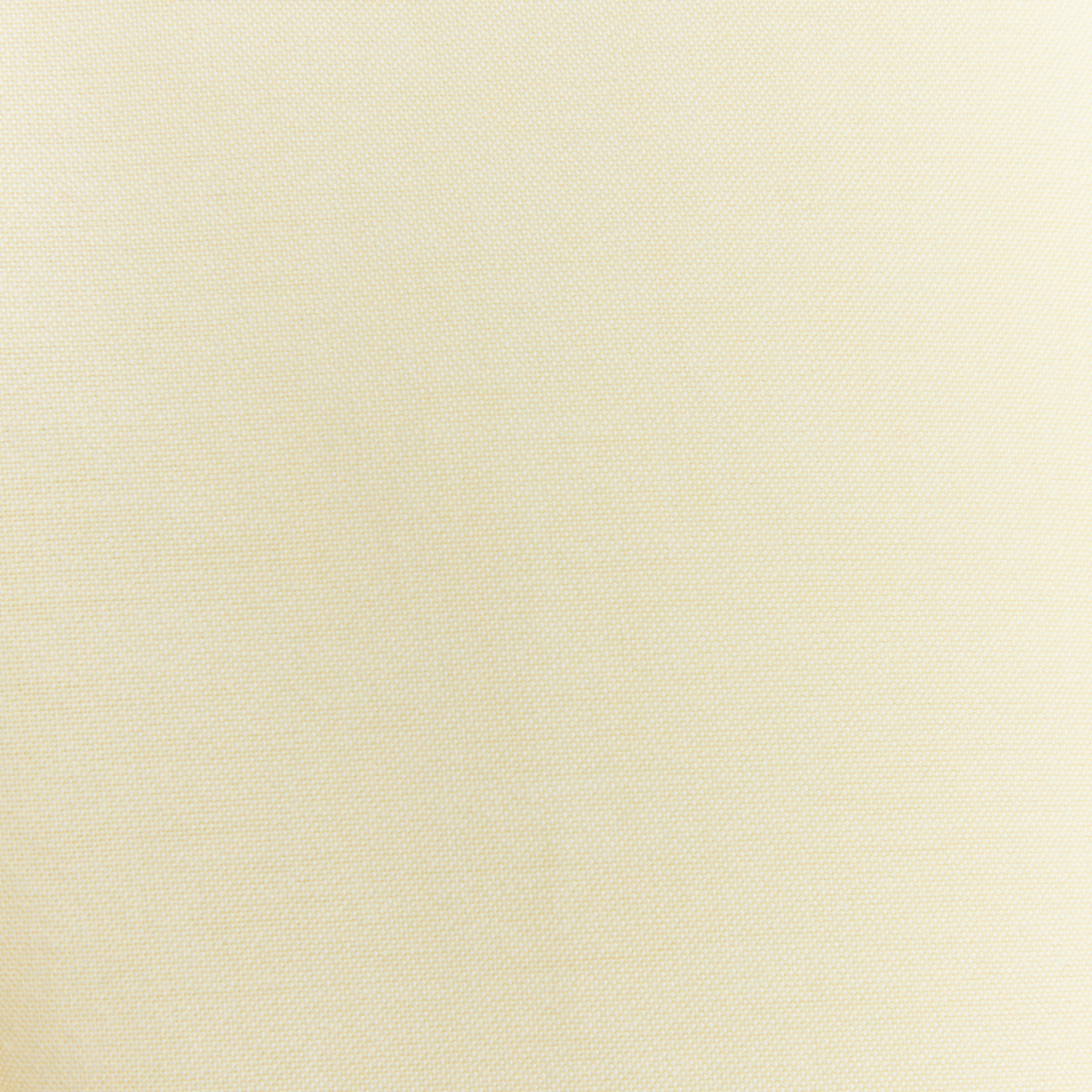 The Solid OCBD: Oxford Cloth Button Down